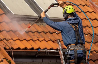 Démoussage et hydrofuge de toiture à Baraize